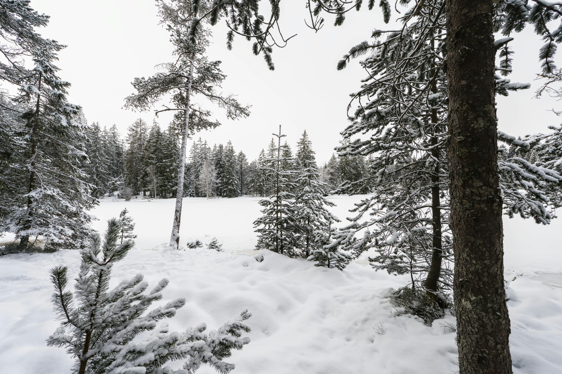 Téli hangulatban Dobogókőn