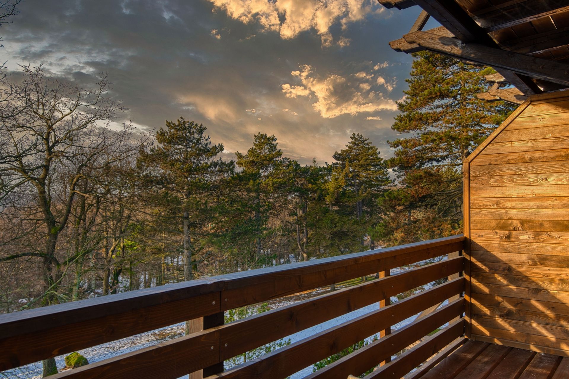 Libák a lombok alatt - november 8.