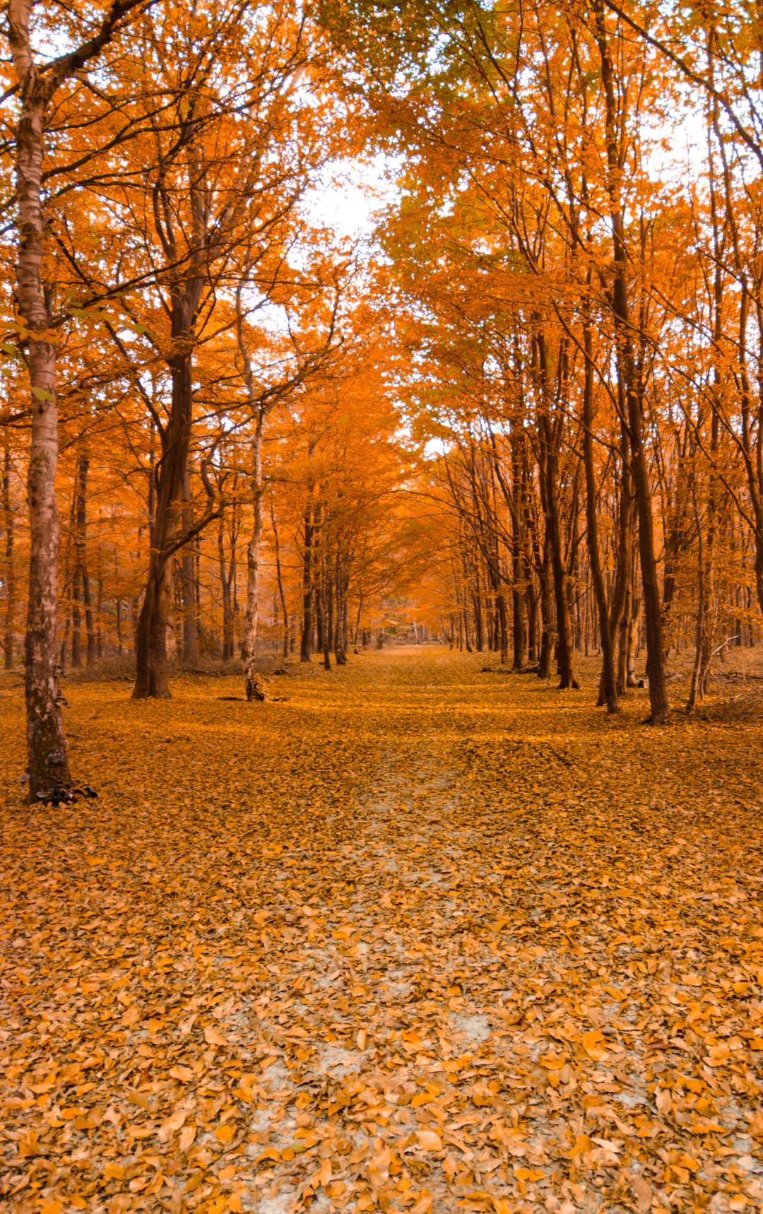 Őszi szüneti élmények