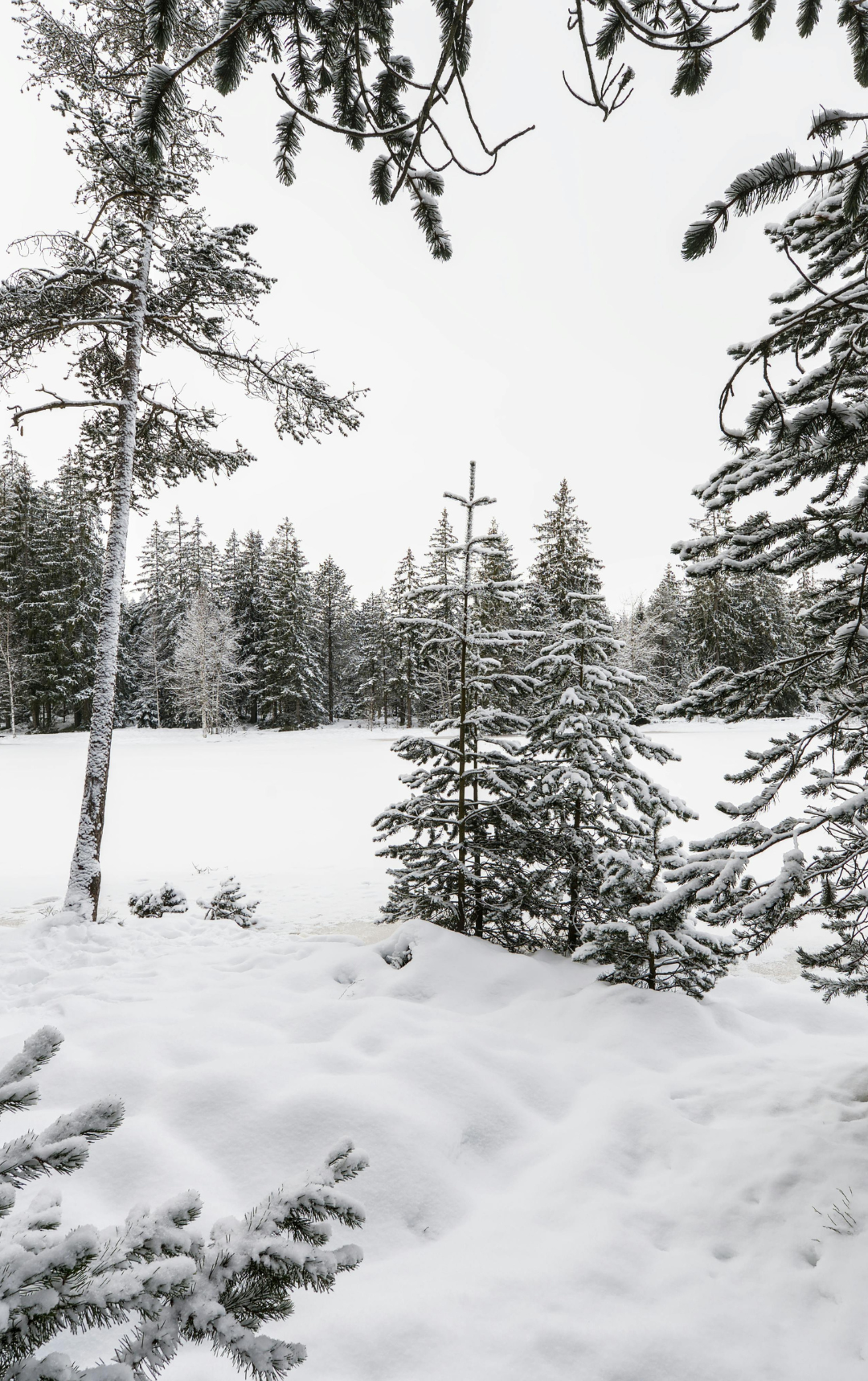 Téli hangulatban Dobogókőn