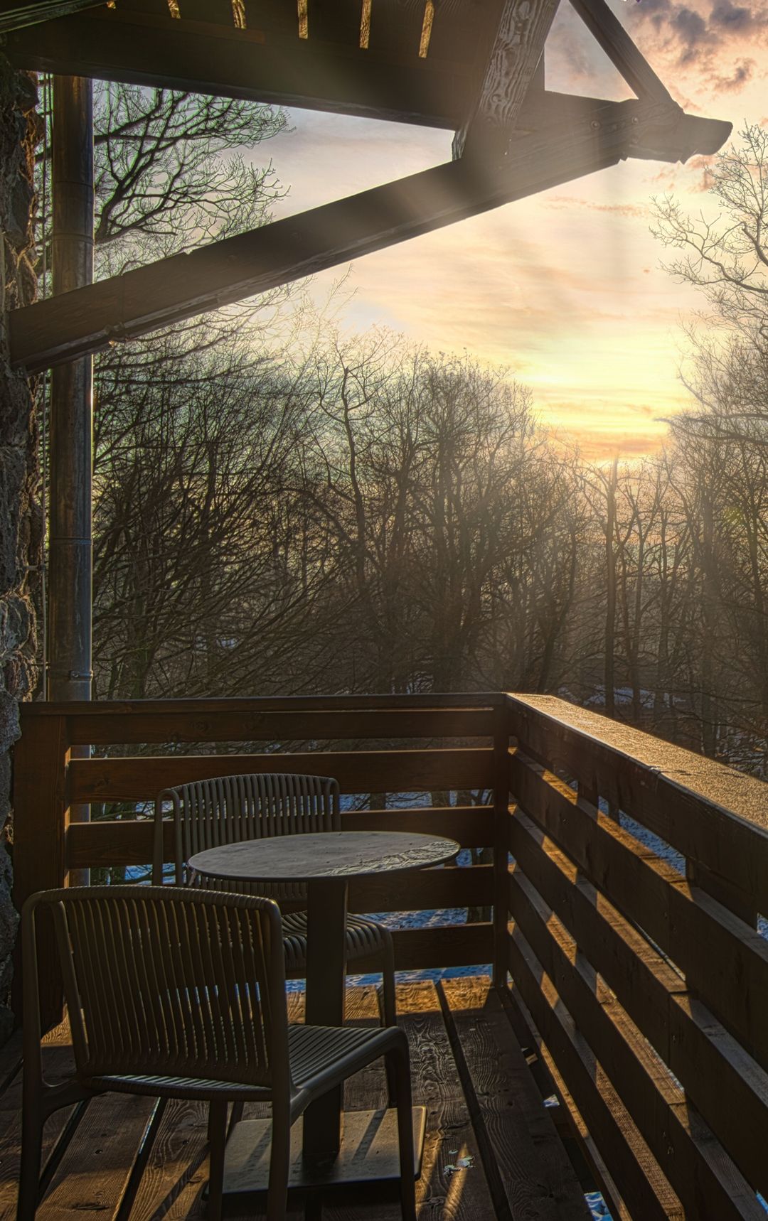 Libák a lombok alatt - november 8.